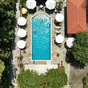 https://agrili-apartments.hotelschalkidiki.net